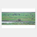 Search for bison landscape stickers Yellowstone