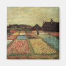 Search for bulb magnets Netherlands