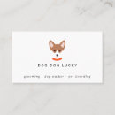 Search for face business cards Dog