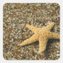 Search for star fish stickers Ocean