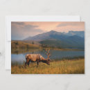 Search for alberta cards Mountains