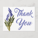 Search for lavander postcards Lavender