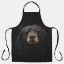 Search for brown bear aprons Landscape
