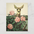 Search for washington travel postcards Coast