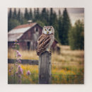 Search for owl puzzles Rustic