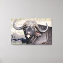 Search for conservation canvas prints Outdoors