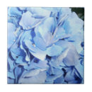 Search for powderer tiles Floral