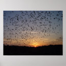 Search for bat winged posters Bats