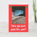 Search for parakeet christmas cards Parrot