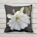 Search for cactus garden outdoor Flower