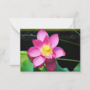 Search for lily flower note cards Nature
