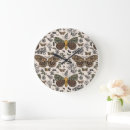 Search for moth clocks Illustration