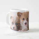 Search for cute corgi puppy mugs Pet