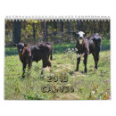 Search for cow office supplies Calves