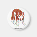 Search for siberian husky magnets Pets