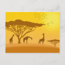Search for africa postcards Giraffe