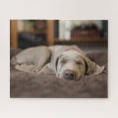 Search for weimaraner puzzles Animal