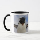 Search for falkland mugs Bird
