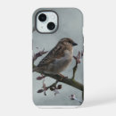 Search for sparrow iphone cases Nature