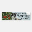 Search for crazy cat lady bumper stickers Kitty