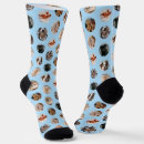 Search for cat pics Animals