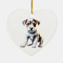 Search for parson Pet