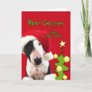 Search for bull terrier christmas cards Funny