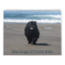 Search for bears calendars Photography