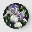 Search for white iris Purple