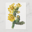 Search for vintage rose illustration postcards Floral