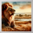 Search for big cats posters African wildlife