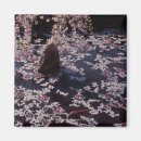 Search for float magnets Animal