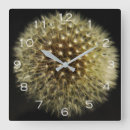 Search for seedhead Yellow