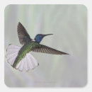 Search for necked stickers Nature