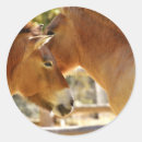 Search for pony stickers Beautiful
