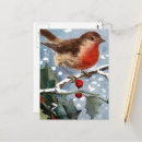 Search for winter bird postcards Snow