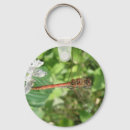 Search for dragonfly rounded key rings Wildlife