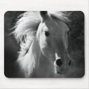 Search for black horse electronics Photography