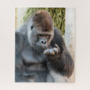 Search for gorilla puzzles Animals