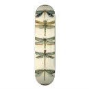 Search for insects skateboards Cream
