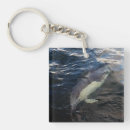 Search for cetaceans key rings Dolphin
