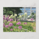 Search for circle postcards Flowers