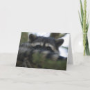 Search for bandit cards Mask