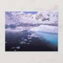 Search for antarctica postcards Glacier