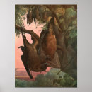 Search for bat animal posters Bats