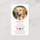 Search for pet instagram business cards Qr code