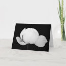 Search for elegant envelope posters Black and white