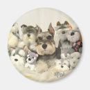 Search for mini magnets Animal