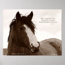 Search for 11x14 posters Quote