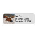 Search for wild horse return address labels Pony